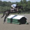 Plantation Event brings Olympic flavor to Unionville