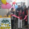 Growing Tree toy store reinvented in Kennett Sq.