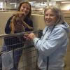 New initiatives aim to turn rescues into cherished pets
