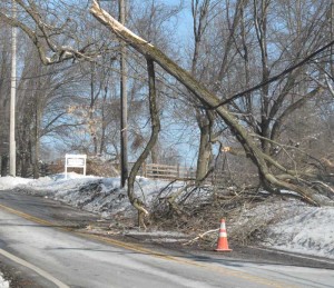 Days into recovery efforts, this large tree branch rests on power lines — blocking southbound traffic — in East Fallowfield, Friday. Although power has been restored to more than 80,000 PECO customers in Chester County, as of Friday morning, more than 130,000 were said to still be without power from the early Wednesday morning ice storm.