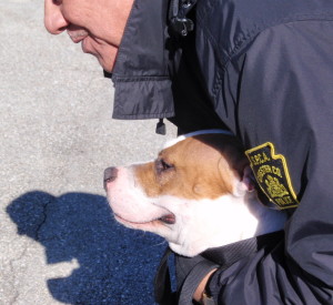 Chester County Animal Protective Services Officer Craig Baxter holds Radar as an appreciative crowd admires the progress the dog has made since being discarded on the side of the road a year ago.