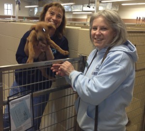Michele Amendola, kennel coordinator at the Chester County SPCA, and Carin Ford, a board member, show off a Doberman pinscher puppy.