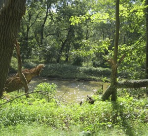 Volunteers are being sought to help keep Chester County pristine by cleaning up roadsides.