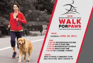 walk for paws