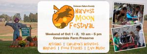 harvest-moon-festival
